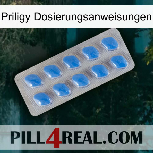 Priligy Dosage Instructions 22.jpg